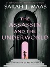 Cover image for The Assassin and the Underworld